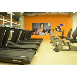 Фитнес-клуб ALEX FITNESS (Алекс Фитнес) в ГУМе Фитнес-клуб ALEX FITNESS (Алекс Фитнес) в ГУМе